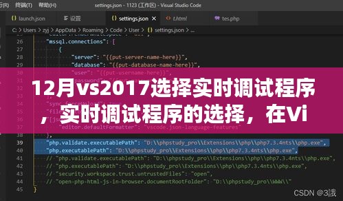 Visual Studio 2017實時調(diào)試程序選擇指南，體驗十二月優(yōu)勢