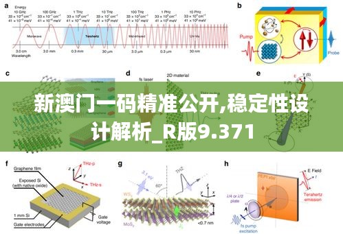 新澳門一碼精準(zhǔn)公開,穩(wěn)定性設(shè)計解析_R版9.371