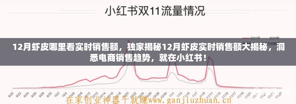 獨(dú)家揭秘，小紅書上蝦皮12月實(shí)時(shí)銷售額洞悉電商銷售趨勢(shì)