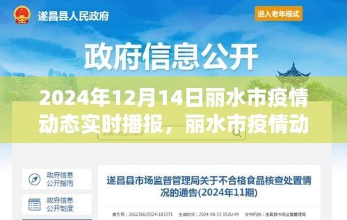 麗水市疫情動(dòng)態(tài)實(shí)時(shí)播報(bào)，聚焦2024年12月14日數(shù)據(jù)更新