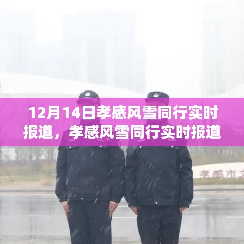 孝感風雪中的社會關(guān)懷與個人責任，實時報道下的共同前行