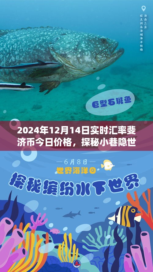 探秘小巷隱世特色小店，揭秘斐濟(jì)幣今日價(jià)格與奇妙之旅（實(shí)時(shí)匯率更新）