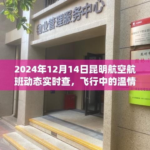 昆明航空航班動(dòng)態(tài)實(shí)時(shí)查，飛行中的溫情紐帶與愛的陪伴之旅