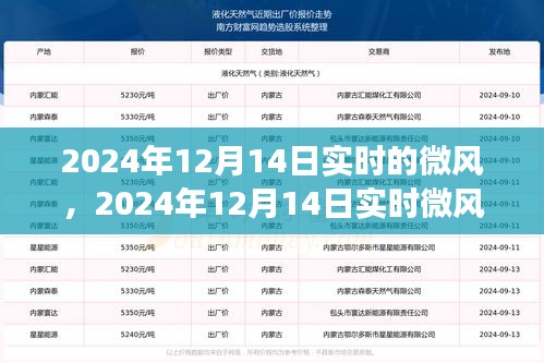 實(shí)時(shí)微風(fēng)擁抱變化，自信成就夢(mèng)想，2024年12月14日實(shí)時(shí)更新