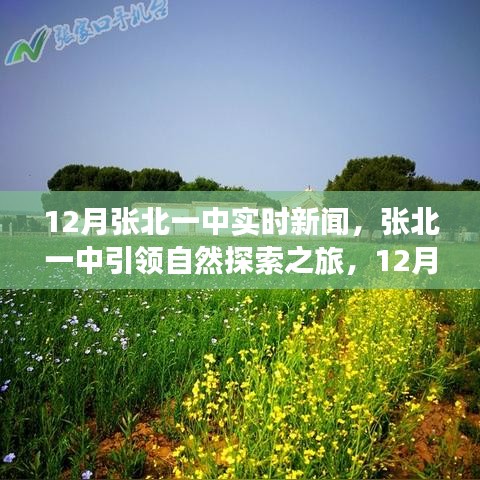 夫榮妻貴 第3頁