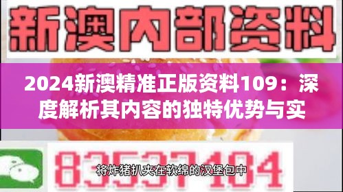 2024新澳精準(zhǔn)正版資料109：深度解析其內(nèi)容的獨(dú)特優(yōu)勢(shì)與實(shí)用價(jià)值