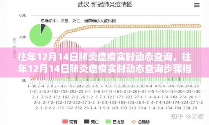 往年12月14日肺炎瘟疫實(shí)時(shí)動(dòng)態(tài)查詢，步驟指南與實(shí)時(shí)更新