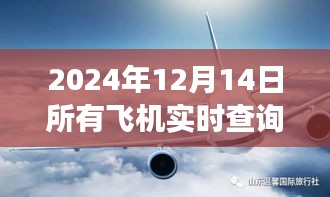 探秘小巷深處的寶藏，揭秘2024年飛機(jī)實(shí)時(shí)查詢軟件之旅