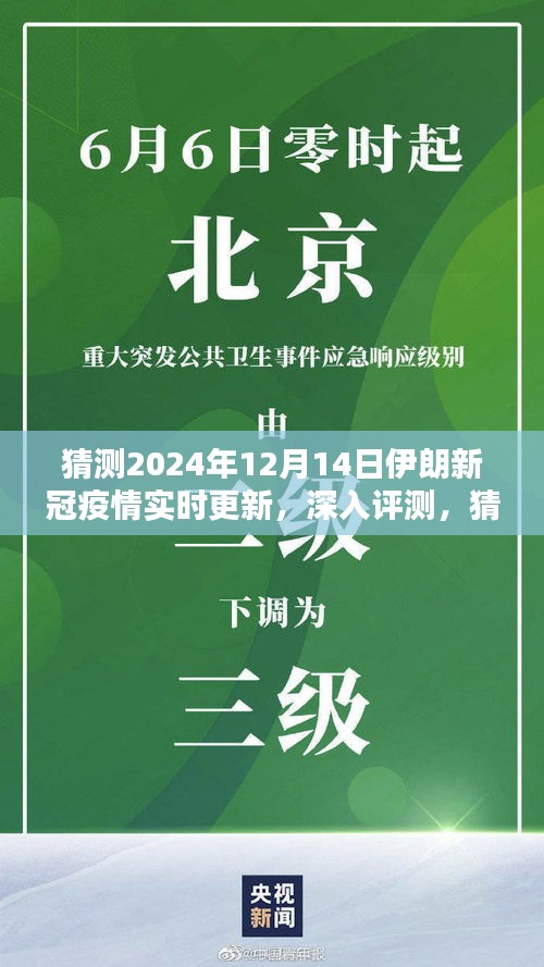 獨家解析，預(yù)測與全面分析伊朗新冠疫情實時更新，至2024年12月14日