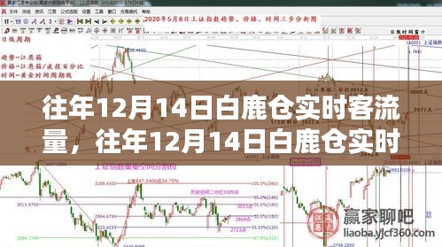 白鹿倉(cāng)歷年12月14日實(shí)時(shí)客流量深度分析與探討，觀點(diǎn)闡述與探討新視角