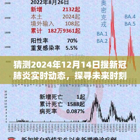 關(guān)于未來時(shí)刻的新冠肺炎實(shí)時(shí)動(dòng)態(tài)，探尋與猜測(cè)至2024年12月14日的全面介紹