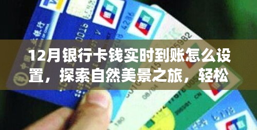 12月銀行卡實(shí)時(shí)到賬設(shè)置指南，啟程尋找自然美景，輕松啟程探索內(nèi)心寧?kù)o之旅