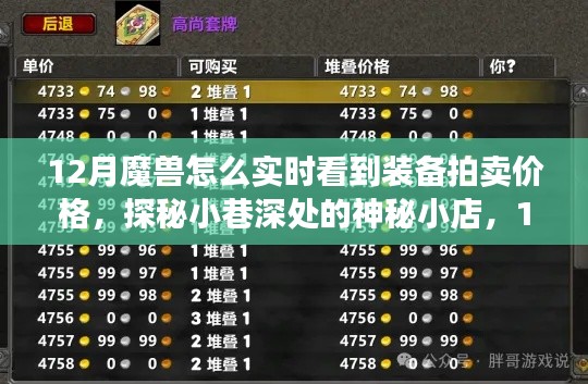 探秘小巷深處的神秘小店，揭秘魔獸裝備拍賣實時價格指南