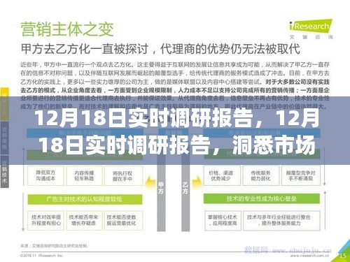 揭秘市場動態(tài)與行業(yè)趨勢，最新實(shí)時(shí)調(diào)研報(bào)告（12月18日）