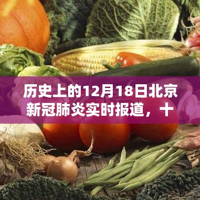 友情紐帶
