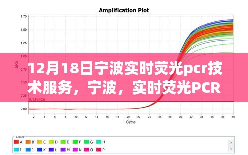 寧波實時熒光PCR技術服務，先鋒探索引領未來，深遠影響鑄就傳奇