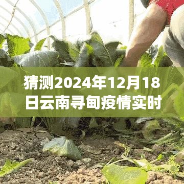 疫情下的云南尋甸之旅，探尋自然美景與內(nèi)心平靜，預(yù)測(cè)未來疫情實(shí)時(shí)動(dòng)態(tài)
