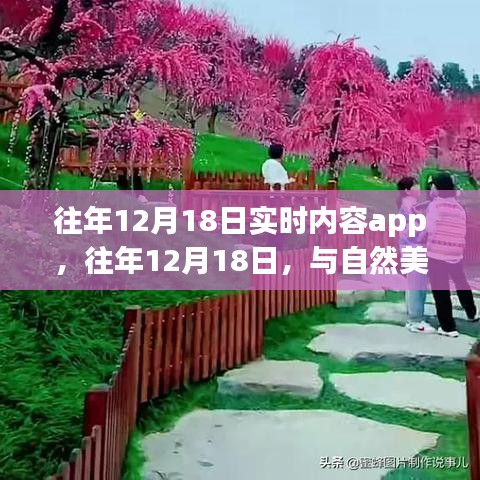 往年12月18日實時內(nèi)容app，與自然美景的不期而遇的心靈之旅領航者