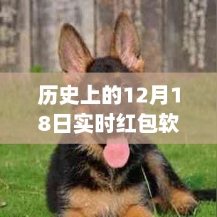 歷史上的12月18日實時紅包軟件使用指南，初學(xué)者與進階用戶通用指南