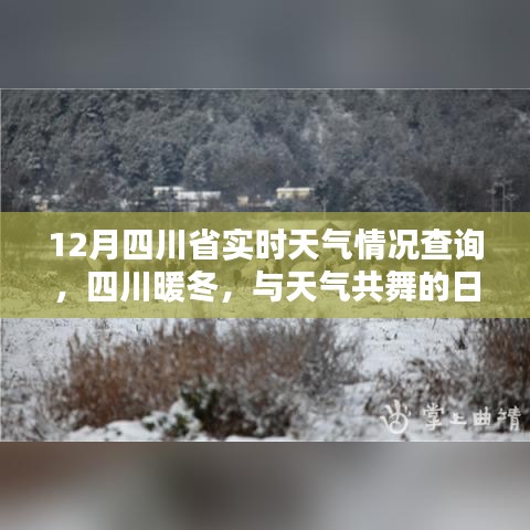 四川暖冬實時天氣查詢，與天氣共舞的日子