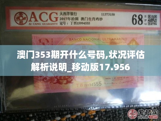 澳門353期開什么號碼,狀況評估解析說明_移動版17.956