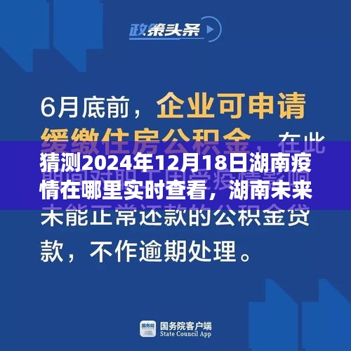 湖南未來疫情展望，探尋實時動態(tài)與深度解析（至2024年視角）