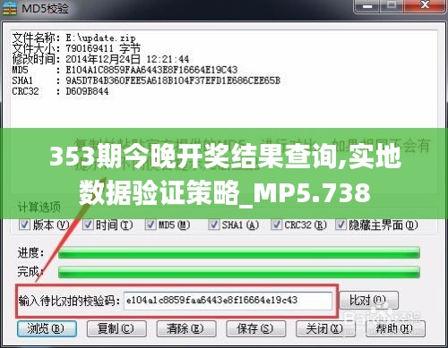 353期今晚開獎結(jié)果查詢,實(shí)地?cái)?shù)據(jù)驗(yàn)證策略_MP5.738