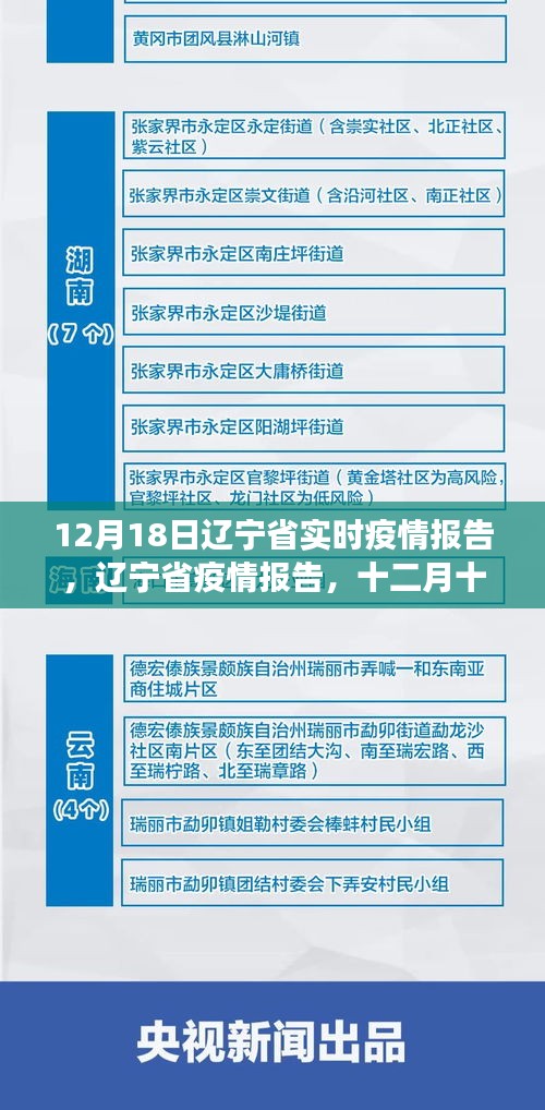 遼寧省疫情報告深度觀察，十二月十八日實時疫情報告與深度思考
