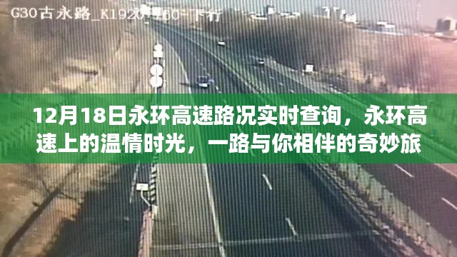 永環(huán)高速路況實(shí)時(shí)更新，溫情時(shí)光下的奇妙旅程
