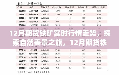 12月期貨鐵礦行情解析與寧靜鐵礦之旅的探索