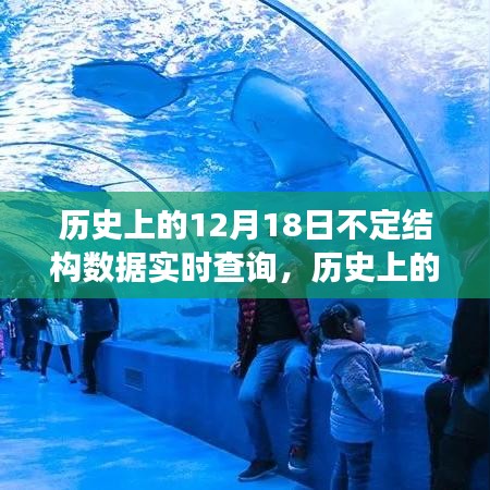 歷史上的今天，數(shù)據(jù)實(shí)時(shí)查詢的歷程與成就，共舞于12月18日的自信與成就日