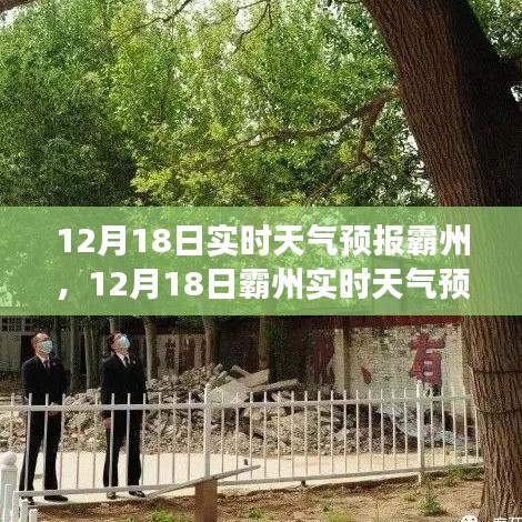 霸州綠色之旅，尋找內(nèi)心平靜的天氣預(yù)報(bào)之旅（12月18日實(shí)時(shí)更新）