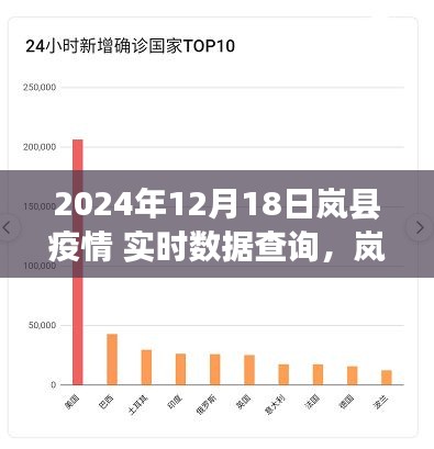 嵐縣疫情實時數據查詢指南，初學者與進階用戶適用的步驟指南（截至2024年12月18日）