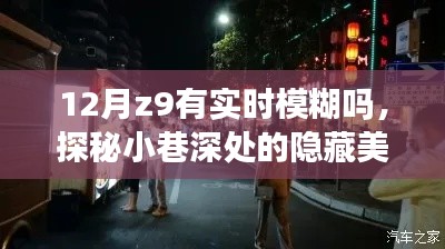 探秘小巷深處的隱藏美食天堂，揭秘12月Z9的神秘模糊魅力