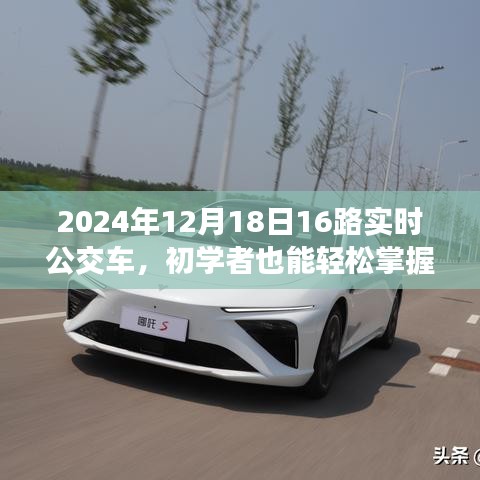 初學(xué)者也能輕松掌握，乘坐2024年12月18日16路實(shí)時(shí)公交車詳細(xì)步驟指南