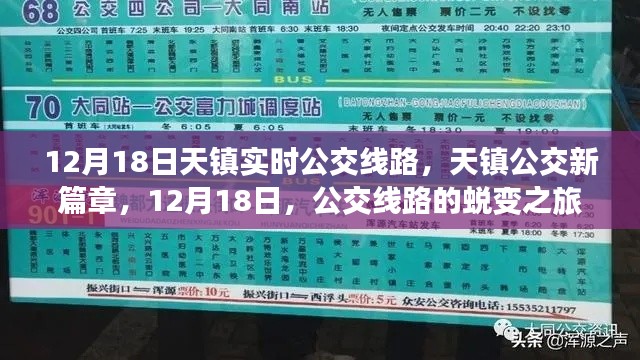 天鎮(zhèn)公交新篇章，公交線路蛻變之旅，12月18日實(shí)時(shí)更新