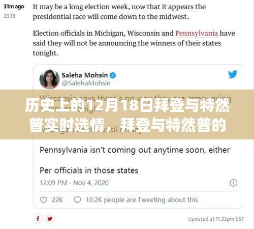 拜登與特然普選情日，心靈與自然的交織旅程紀(jì)實(shí)分析