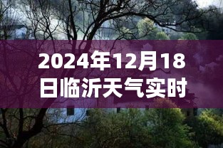臨沂特色小店揭秘，冬日小巷深處的天氣秘密與別樣風(fēng)情實(shí)時播報下載