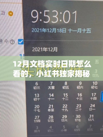 小紅書揭秘，輕松查看文檔實(shí)時(shí)日期的實(shí)用技巧，掌握12月文檔的實(shí)時(shí)動(dòng)態(tài)！