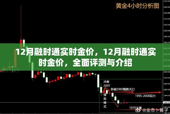 全面評測與介紹，12月融時通實時金價一覽