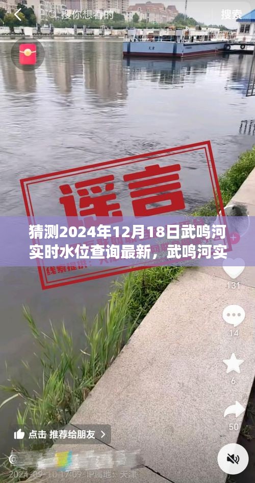 探尋武鳴河未來水位變遷，實(shí)時(shí)水位查詢預(yù)測最新動態(tài)（2024年12月18日更新）