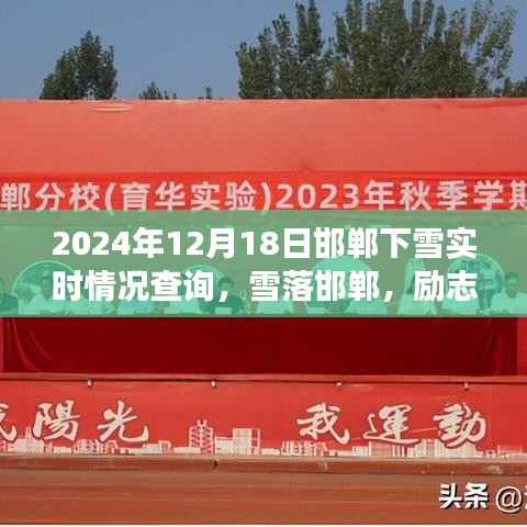 自信綻放