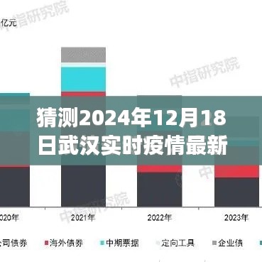 聚焦武漢疫情，實時通報最新動態(tài)與未來展望（預(yù)測至2024年12月）