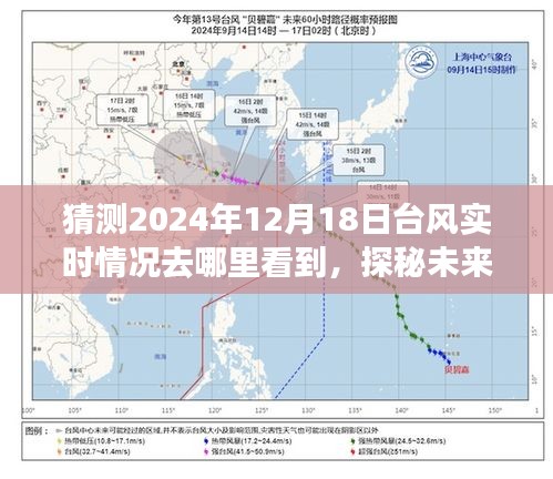 指尖掌控未來(lái)天氣，揭秘2024年臺(tái)風(fēng)實(shí)時(shí)追蹤與預(yù)測(cè)