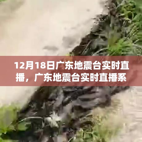 廣東地震臺實時直播系統(tǒng)，科技前沿守護生活，實時掌握地震動態(tài)