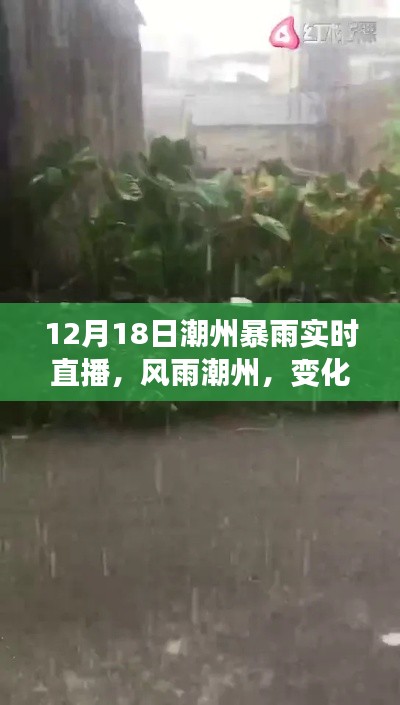 潮州暴雨下的成長與希望，風(fēng)雨中的學(xué)習(xí)之旅