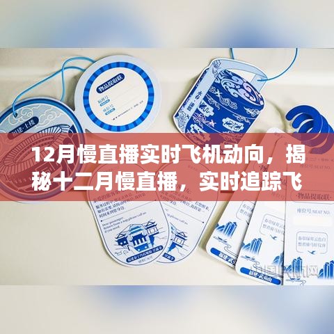 實時追蹤飛機(jī)