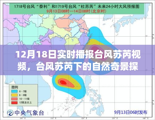 臺風蘇芮下的探索之旅，自然奇景與內(nèi)心平靜的追尋實時播報視頻