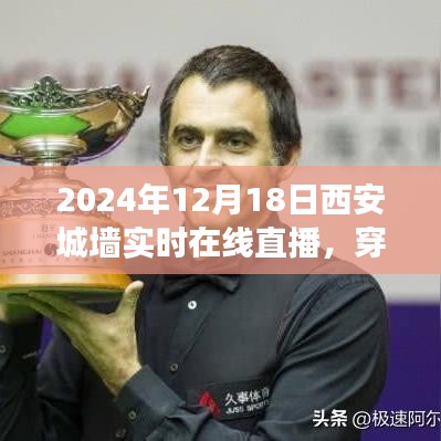 公司簡(jiǎn)介 第247頁