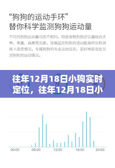 小狗實(shí)時(shí)定位產(chǎn)品全面評(píng)測(cè)與介紹，歷年12月18日回顧分析